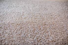 Tons of sizes and styles. Nylon Vs Polyester Carpet Which Is The Best Choice