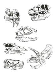 Dinosaur Skulls Dotwork Dinosaur Tattoos Animal Tattoos Skull