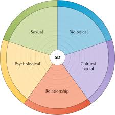 Pansexual (often shortened to pan ) is the attraction to people regardless of gender. Supporting Sexuality And Improving Sexual Function In Transgender Persons Nature Reviews Urology