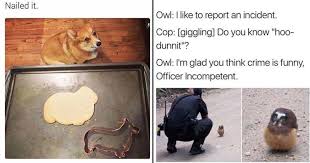 We've turned some of the most famous memes of all time into fun and fuss free art for your walls! Memebase Funny Animals All Your Memes In Our Base Funny Memes Cheezburger