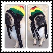 Rasta Pug Hat Complete With Dreadlocks Crochet Dog Clothes Crochet Dog Crochet Dog Hat