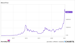 The 21 best stocks to buy for 2021; What S The Best Cryptocurrency Stock It Might Be Cme Group Coin News Telegraph