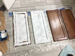 If you have wood or veneer cabinets, then chances are you have thought about painting them white. Tips On How To Paint Dark Veneer Cabinets White With Iced White Quartz Counter Tops Keeping It Simple