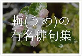 梅に関する有名俳句 30選】日本の春の風物詩!!季語を含んだ俳人名句を紹介 | 俳句の教科書｜俳句の作り方・有名俳句の解説サイト