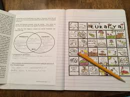 Science Interactive Notebook Six Kingdoms Of Life Puzzle
