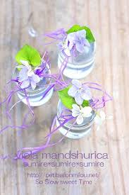 毎日ナチュラルチック 花 美しい花 ボトルフラワー