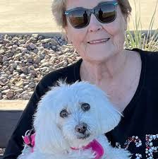 Why is the Phoenix Suns team performing inconsistently?