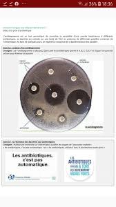 À partir des documents de votre équipe. Bonsoir Pouvez Vous M Aider Svp Merci Beaucoup Je N Arrive Pas A La Question Que L On Pourrait Nosdevoirs Fr