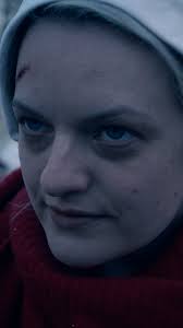 Sorry, Aunt Lydia. , Discover something every day