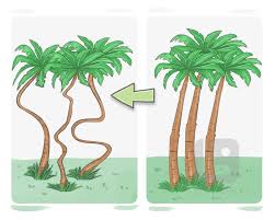 Định Nghĩa và Ý Nghĩa của "Unusual" | Từ điển hình ảnh