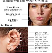 Amazon.com: SAILIMUE 3 Pcs Surgical Steel Nose Rings Hoop for Women 18G 16G  Clicker Hinged Segment Septum Lip Nose Rings Helix Cartilage Conch Rook  Earrings Piercing Jewelry Diameter 8mm 10mm : Clothing,