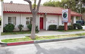 I interviewed at cottage pet hospital (anaheim, ca). Cottage Pet Hospital Inc 900 East Broadway Anaheim Reviews And Appointments Topvet