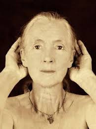 Renee Otto-Berglund (reneeob)