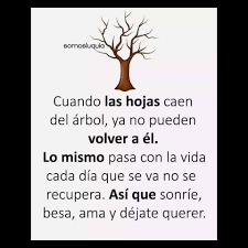 This album is composed by mithoon. Cuando Las Hojas Caen Del Arbol Ya No Pueden Volver A El Lo Mismo Pasa Con La Vida Cada Dia Que Se Va No Se Recupera Asi Que Sonrie Besa Ama Y