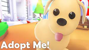 The pumpkin pet was a temporary pet that was available to players during halloween 2020. Roblox Adopt Me Codes 2021 Don T Exist And They Might Never Return Pro Game Guides