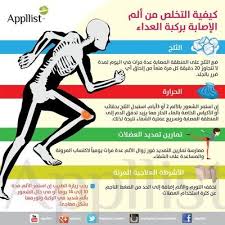 Category Infographics Multi Language Healthy Lifestyle Essay Health Human Development