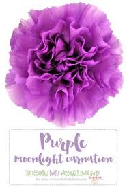 The Complete Guide To Purple Wedding Flowers Purple Flower Names Purple Wedding Flowers Inexpensive Wedding Flowers Lavender Wedding Flowers
