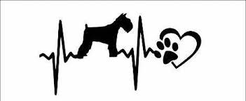 Black And White Mini Schnauzer Clipart Schnauzer Heartbeat Heart Schnauzerdecal Schnauzer Etsy Schnauzer Schnauzer Gifts Miniature Schnauzer Puppies