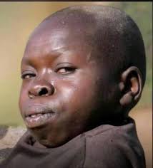 Which Free State team will represent at playoffs?