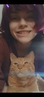 Lost Cat: Orange Male Tabby Kratos in Colorado Springs