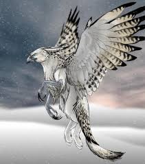 Awesome Fox Eagle Art Ehkart Elijah Kazi Mythical Creatures Art Fantasy Creatures Magical Creatures
