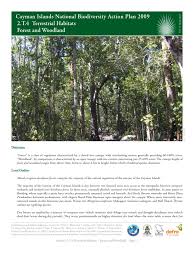 The terrestrial habitat can be arboreal (in or on trees), on the ground or under the ground. Cayman Islands National Biodiversity Action Plan 2009 2 T 4 Terrestrial Habitats Forest And Woodland Pdf