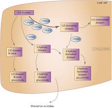 Pharmgkb Pathways