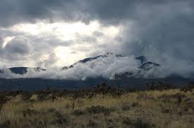 Image result for Mountain Gray 1931 Graham