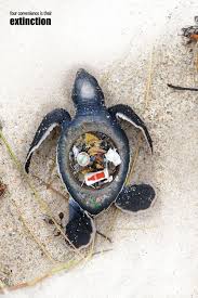 Water Pollution Posters Christian Waters Marine Animals Water Pollution Poster Environmental Art