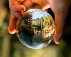 Il tema della giornata mondiale dell'ambiente 2021 di quest'anno è il ripristino degli ecosistemi, con l'obiettivo di prevenire, fermare e invertire i danni inflitti agli ecosistemi del pianeta, cercando dunque di passare dallo sfruttamento della natura alla sua guarigione. Giornata Mondiale Dell Ambiente Oggi Si Celebra La Biodiversita Smartgreen Post L Informazione Green In Italia