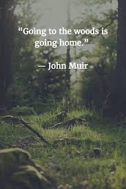 Going To The Woods Is Going Home John Muir Adventure Quotes Nature Quotes Outdoor Quotes