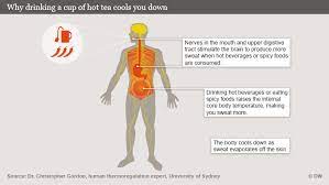 It gets/is getting colder and colder every day. Does Drinking Hot Drinks On A Scorching Summer S Day Really Cool You Down Science In Depth Reporting On Science And Technology Dw 25 07 2013