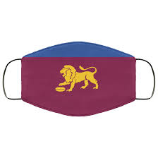Courtney hodder of the brisbane lions wins goal of the year during the 2021 aflw w awards at the gabba on april 20, 2021 in brisbane, australia. Brisbane Lions Colours Face Maskbrisbane Lions Colours Face Mask Return Amp Warranty 100 Secure Payment With Ssl Encryption If Yo Face Mask Mask Brisbane