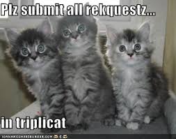 Image result for lolcats