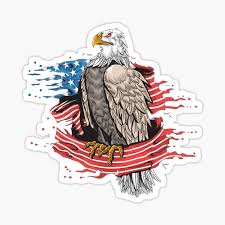 Choisissez parmi des illustrations aigle americain sur istock. Produits Sur Le Theme Aigle Royal Am C3 A9ricain Redbubble