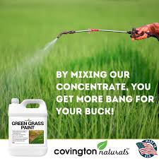 Green Grass Paint For Lawn Green Lawn Paint Grass Spray Perfect Color Fix For Dog Urine Spots Or Brown Patches Green Grass Spray Paint For Lawn Turf