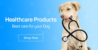 Find chinchillas for sale uk at the uk's largest independent free classifieds site. Online Pet Shop Supplies Store Buy Pet Food Accessories