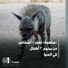 مدبولي ومروان يزوران مجمع محاكم عابدين. Ø§Ù„ØªØ­Ø±ÙŠØ± Ø§Ù„Ø¥Ø®Ø¨Ø§Ø±ÙŠ ×'×˜×•×•×™×˜×¨ Ø§Ù„ØªØ­Ø±ÙŠØ± Ø³Ù„Ø¹ÙˆØ© ØªØ¹Ù‚Ø± 5 Ø£Ø´Ø®Ø§Øµ Ù…Ù† Ø¨ÙŠÙ†Ù‡Ù… 3 Ø£Ø·ÙØ§Ù„ ÙÙŠ Ø§Ù„Ù…Ù†ÙŠØ§ Https T Co Yxhatxmqvt