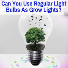 Some edibles, such as leafy greens, can grow in bright windowsills indoors, but in areas with less natural light, you'll need grow lamps for a good harvest. Can You Use Regular Light Bulbs As Grow Lights