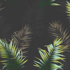 We did not find results for: Black Leaf Wallpapers Top Free Black Leaf Backgrounds Wallpaperaccess