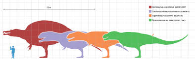 Spinosaurus Vs Tyrannosaurus Difference And Comparison