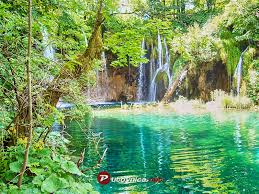 Sedrene barijere, koje su nastale u razdoblju od desetak tisuća godina, jedna su od temeljnih osobitosti parka. Cijene Ulaznica I Radno Vrijeme Plitvickih Jezera 2021 Vodici Na Putovnica Net