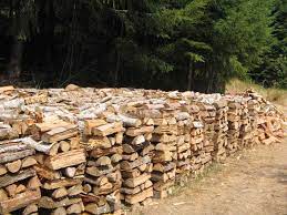 Placed on a dry platform or raised up off any moist ground. Stacking Firewood How To Stack Firewood