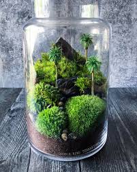 Tropical Escape Terrarium Plant In Glass Terrarium How To Make Terrariums