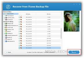 Accidentally deleted something important on your iphone? Jihosoft Itunes Backup Extractor Free Extract And Recover Data From Itunes Backup Megaleecher Net