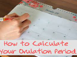 This is because there is a lot of misinformation out there. How To Calculate Your Ovulation Period Using Your Menstrual Cycle Wehavekids