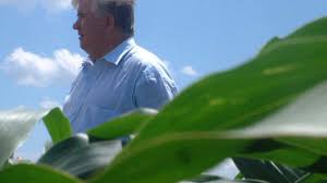 Check spelling or type a new query. Ce Datorii A LÄsat In UrmÄ CuliÅ£Ä TÄraÅ£Ä Mare Parte Dintre Ele Sunt Subiect De Litigiu