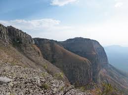 Image result for Stomatanthes