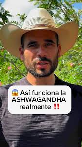 ‼️Estos son los miligramos que debes usar de la ASHWAGANDHA si quieres ver  reflejado sus beneficios en tu cuerpo! 🪵👌🏻😱. #ashwagandha  #ashwagandhabenefits #cortisol #estrés #ansiedadydepresion ...