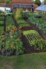 18 Oktober Mitte Monat Neue Veg Neues Buch Macht Kompost Sau Oder Pflanzen Home Vegetable Garden Design Home Vegetable Garden Garden Layout Vegetable